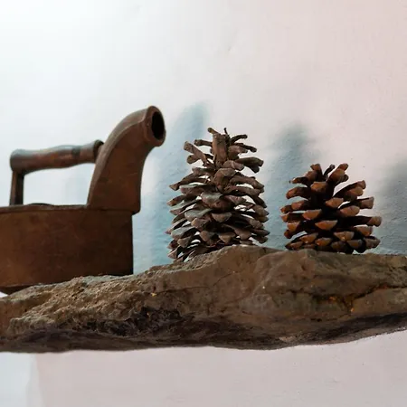 ヴィラ Tinamar ベガ・デ・サン・マテオ