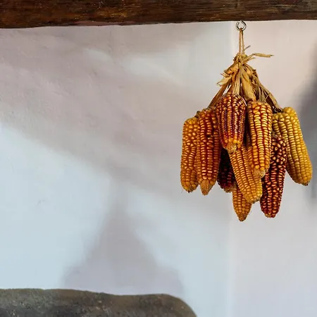 Tinamar ベガ・デ・サン・マテオ