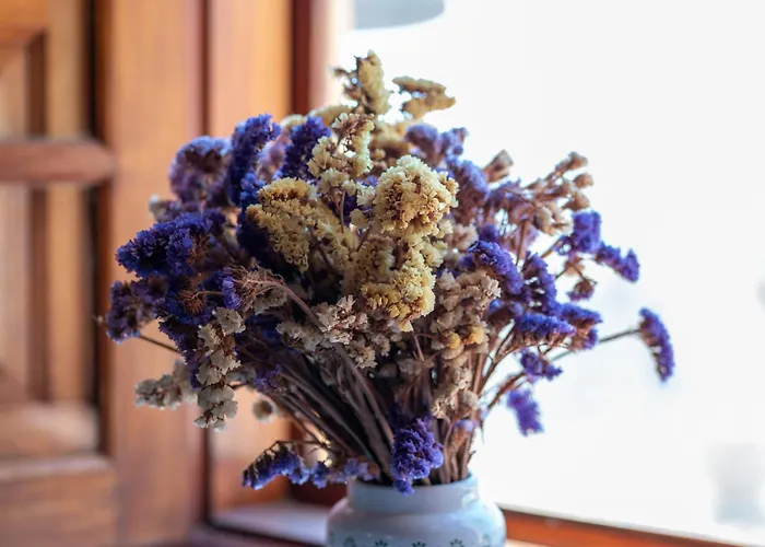 Tinamar Вега де Сан Матео