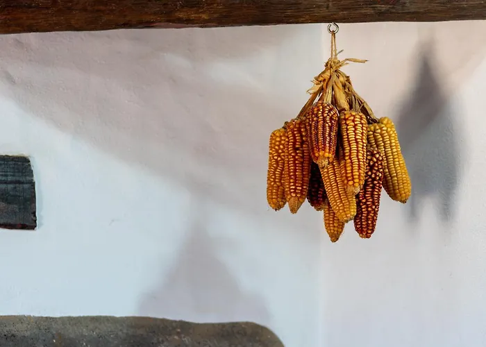 Tinamar Вега де Сан Матео